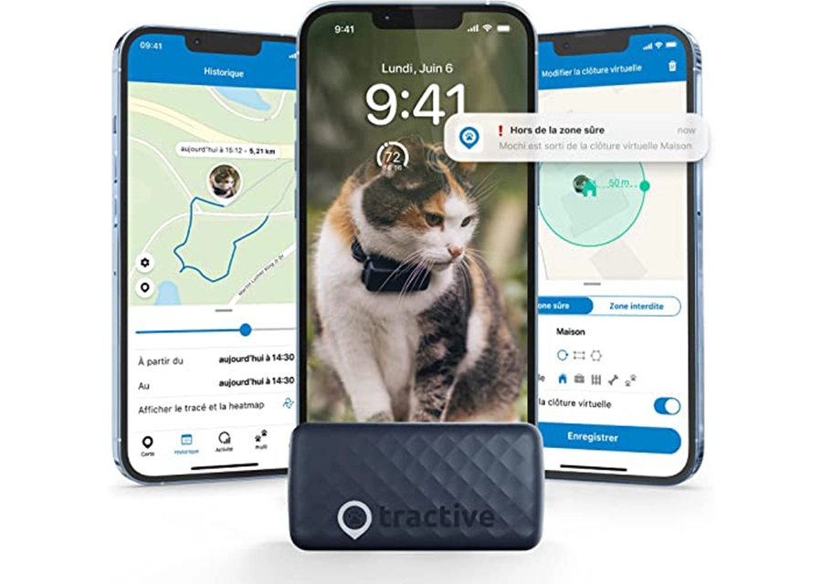 Collier gps pour tout type de chat